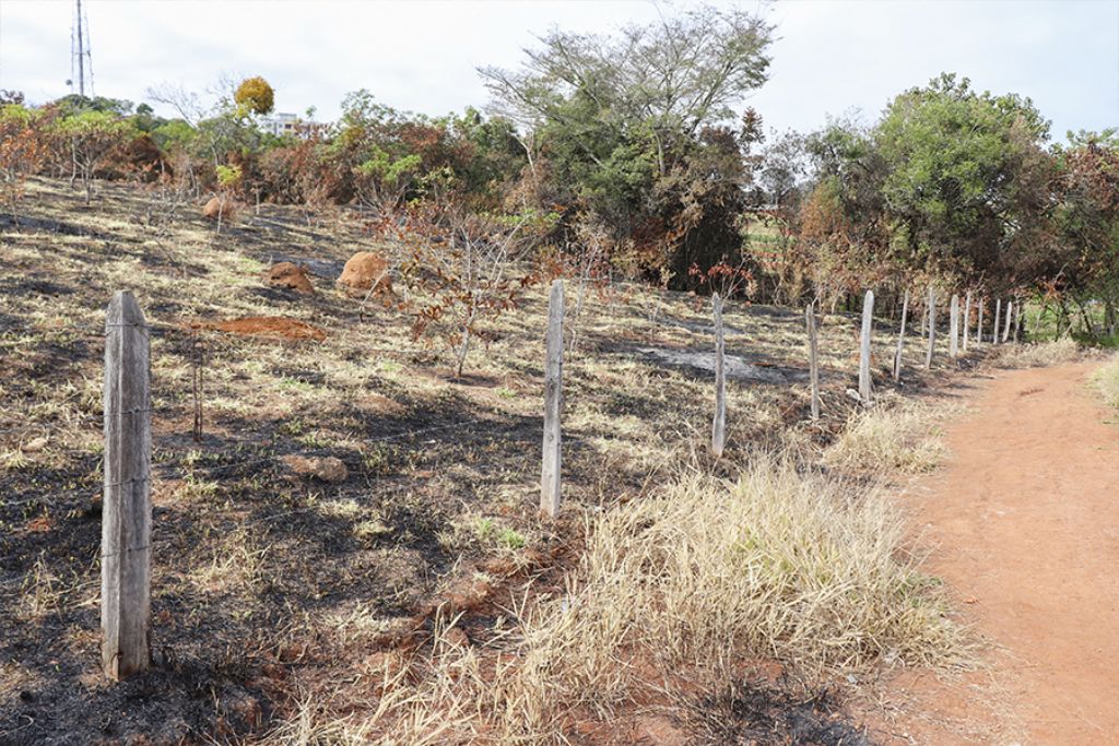 Áreas verdes do município são destruídas por queimadas 