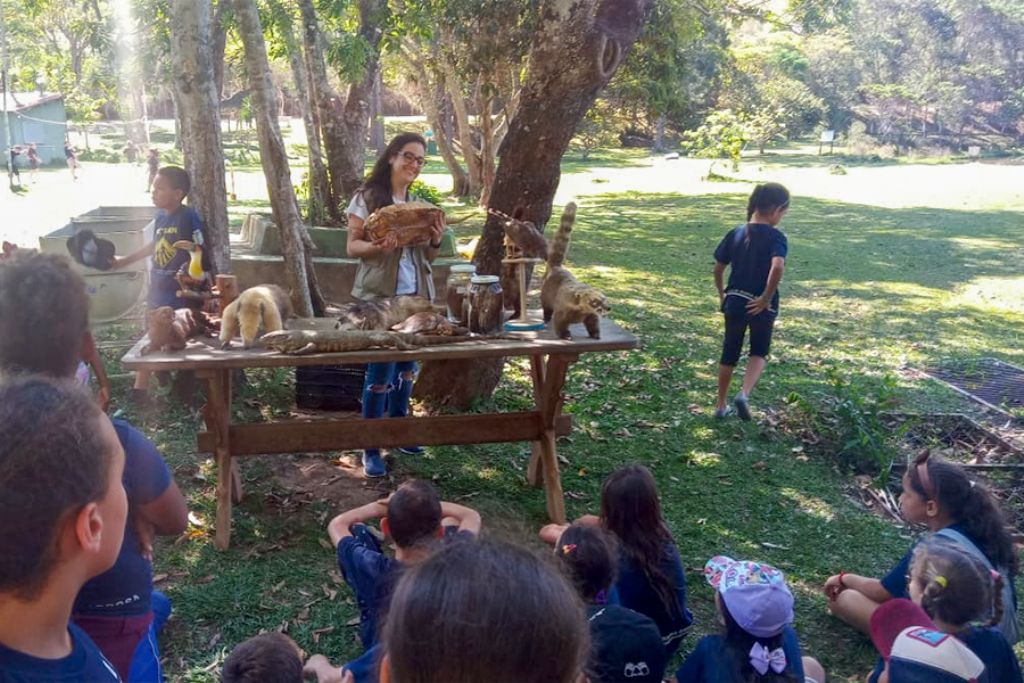 Semana da Criança tem passeio e atividades ecológicas no Horto Florestal