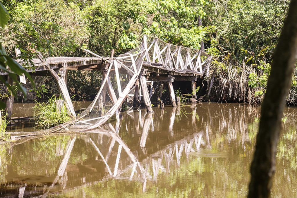 Obras no Horto Florestal vão proporcionar novas opções de lazer