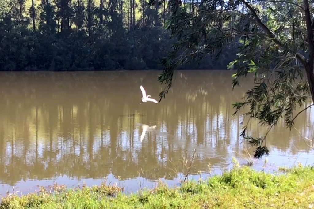 Bióloga da Prefeitura aborda a Biodiversidade no Dia Mundial do Meio Ambiente