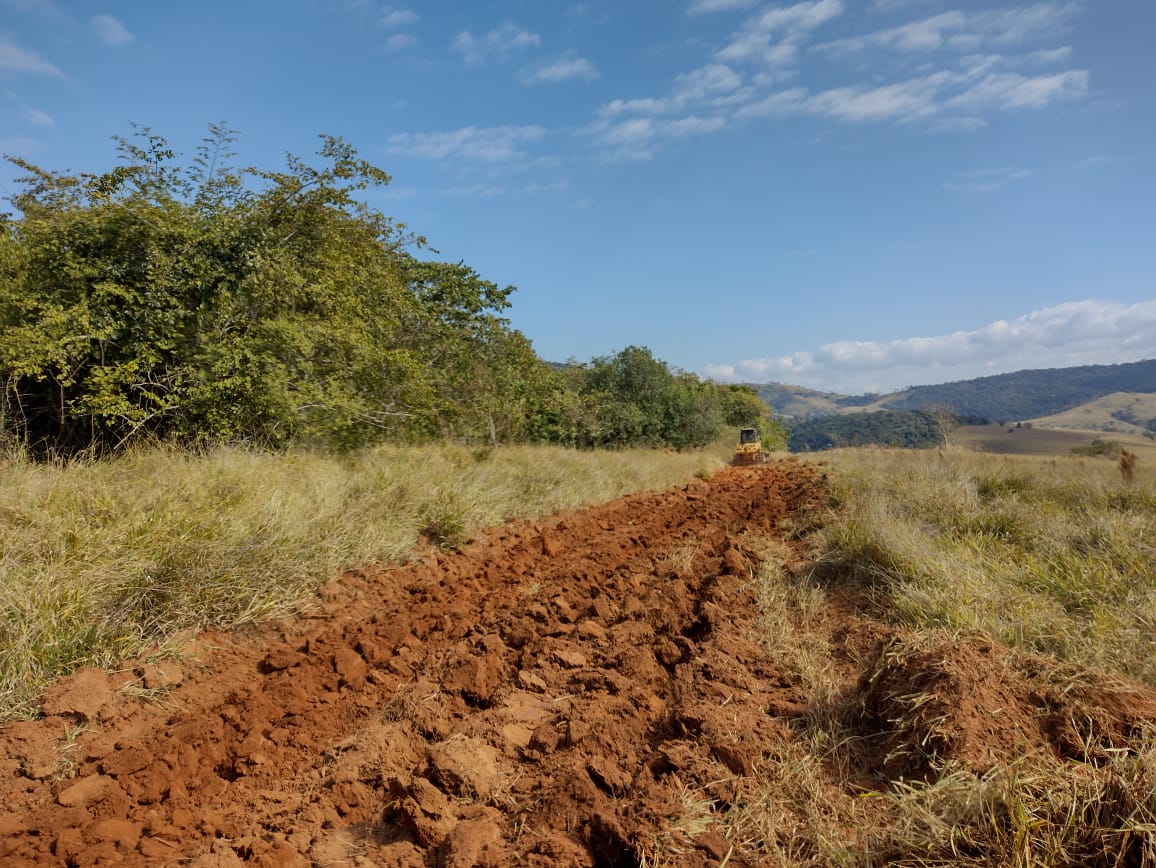 Ações de prevenção são tomadas para evitar futuros incêndios em área de mata