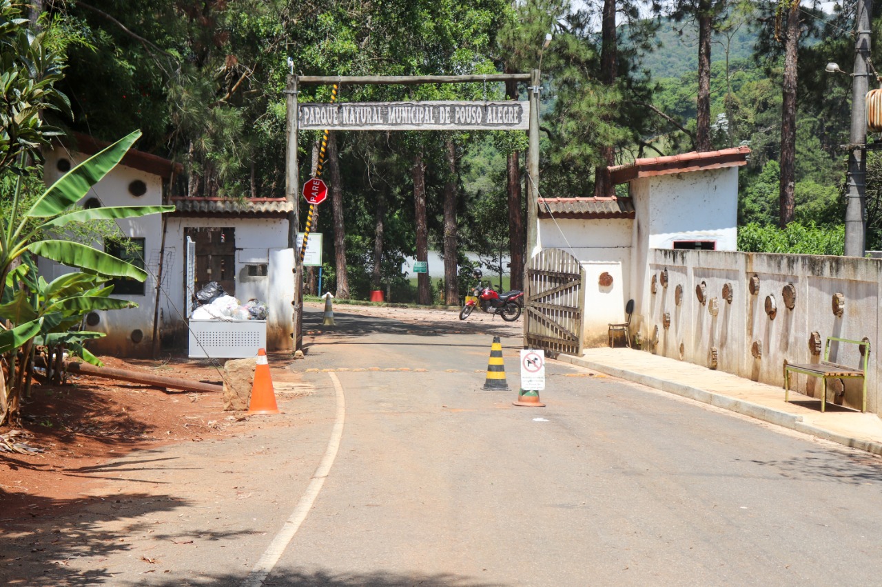 Pouso Alegre tem programa para doação de mudas de árvores à população