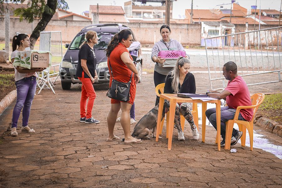 Pouso Alegre tem calendário definido para campanha de vacinação antirrábica