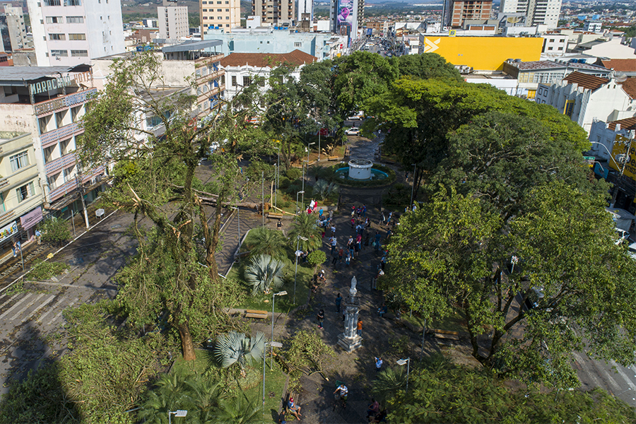 Prefeitura e General Mills plantam árvores na Praça da Catedral nessa terça