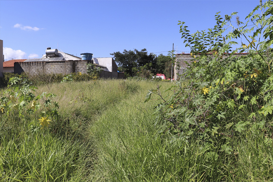 Prefeitura intensifica fiscalização de limpeza em lotes vagos e multa proprietários