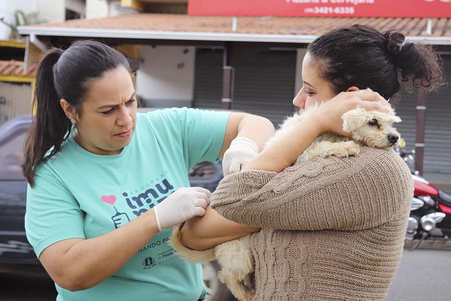 Antirrábica: saiba onde vacinar os pets no próximo sábado (27)