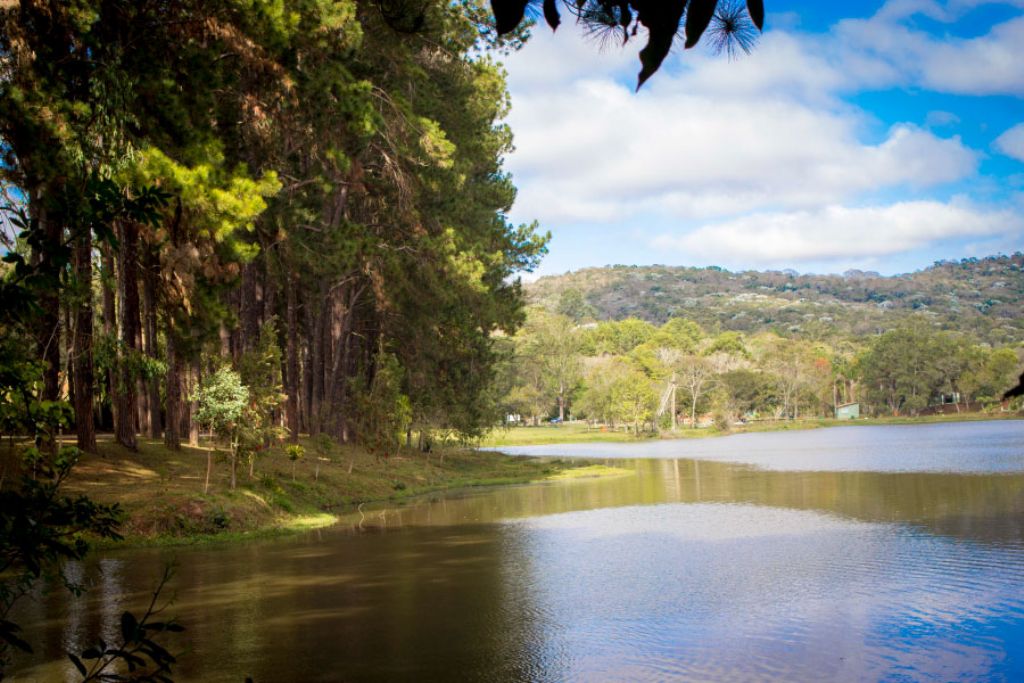 Horto Florestal tem programação de férias e convida população 