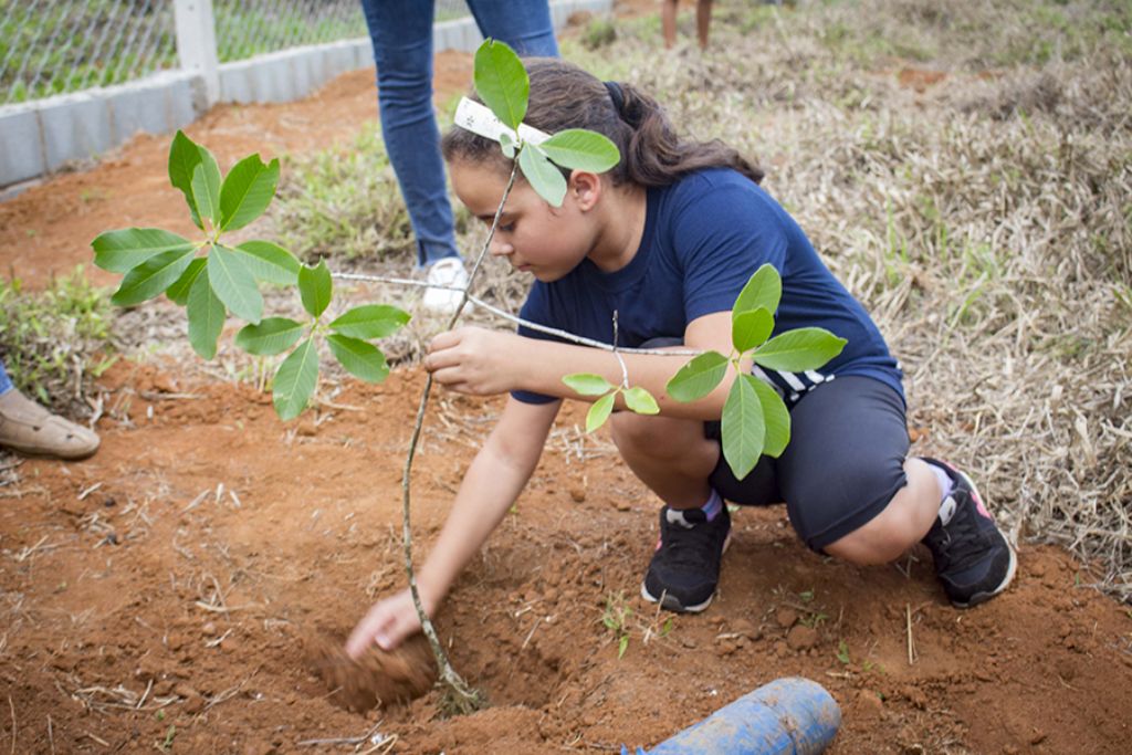 Alunos de escola municipal plantam  árvores no bairro do Algodão