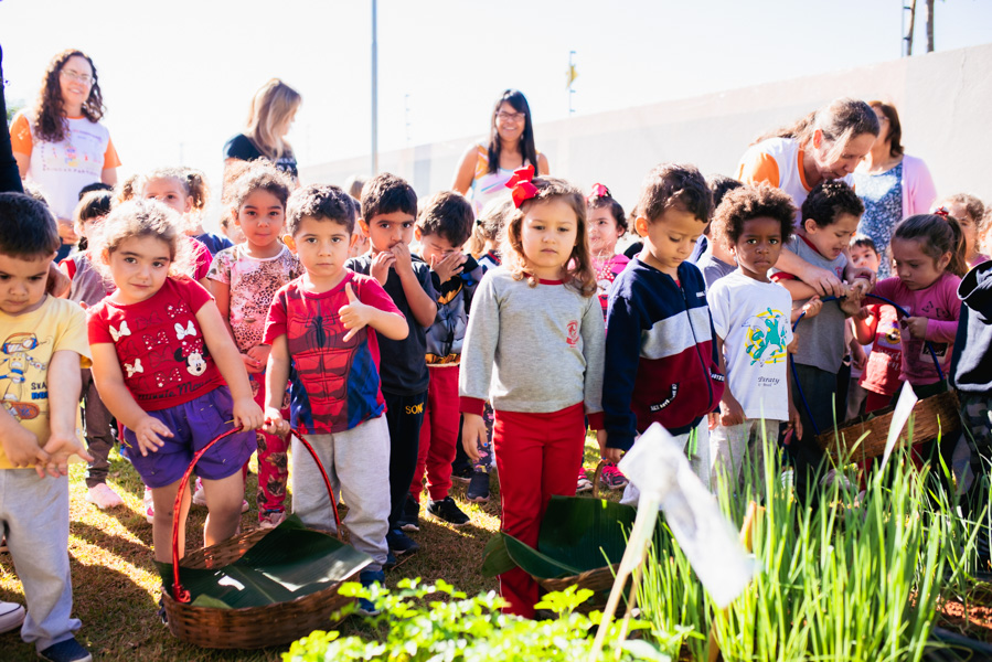 Prefeitura leva horta para escolas: conheça os benefícios