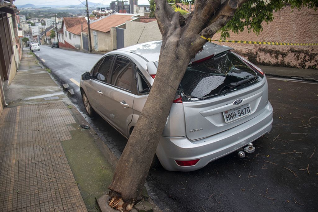 Queda de árvores causa prejuízos e danos à rede elétrica em Pouso Alegre