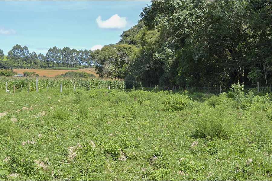 Projeto Pró-Mananciais inicia nova fase com implantação de biodigestor