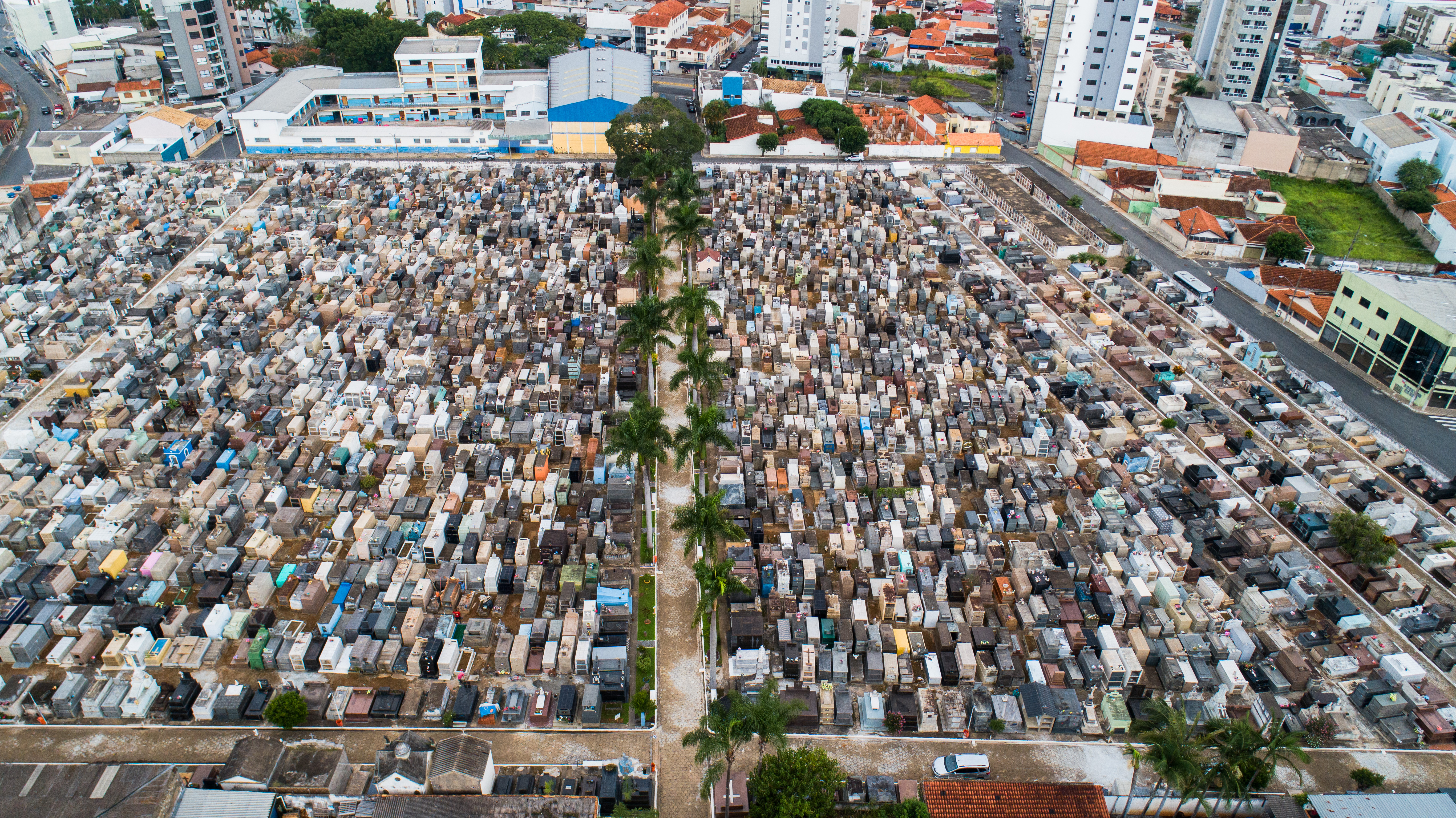 Imagem Noticia: Fique atento aos preparativos para o Dia de Finados