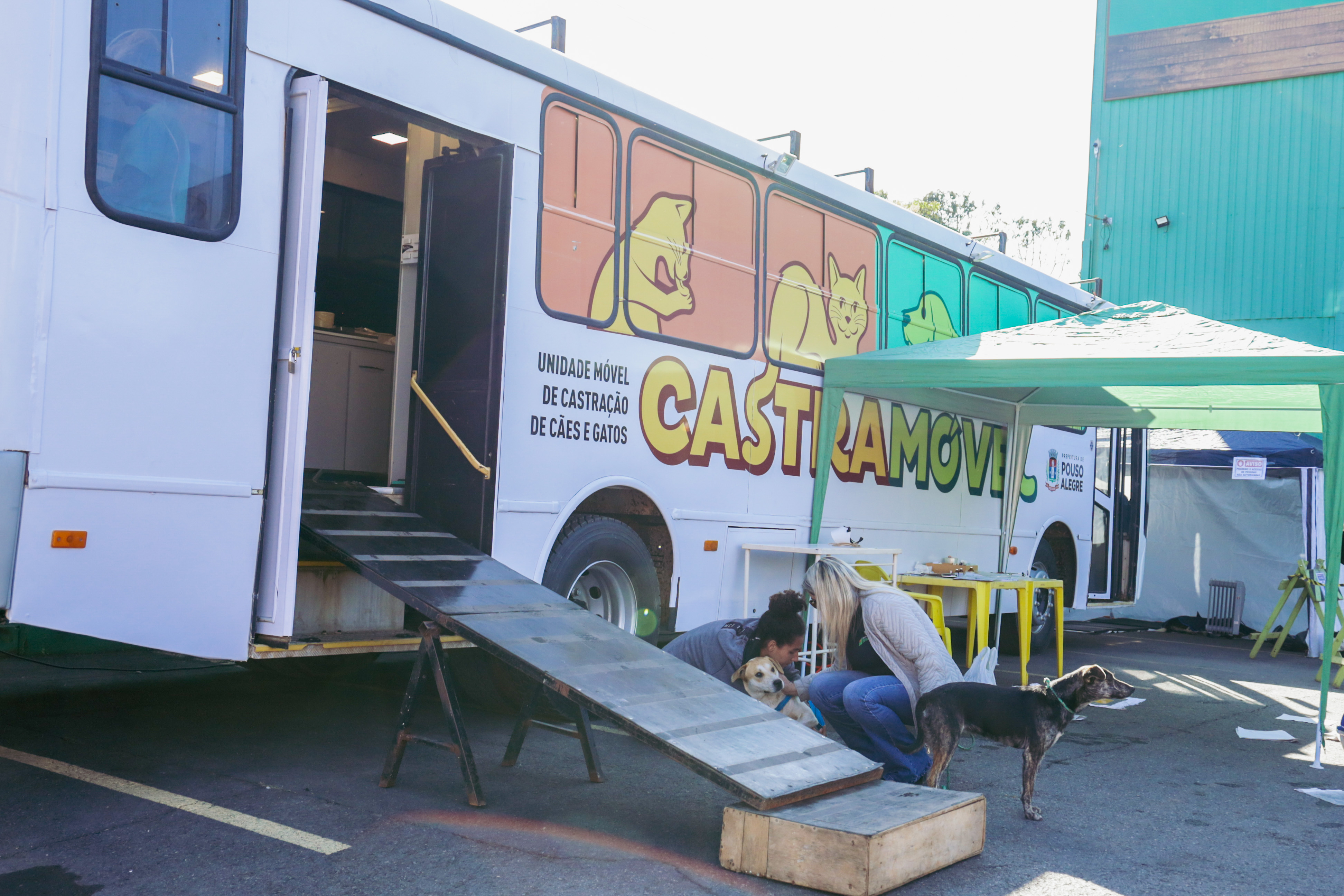 Imagem Noticia: Prefeitura divulga cronograma do Castramóvel para as próximas semanas