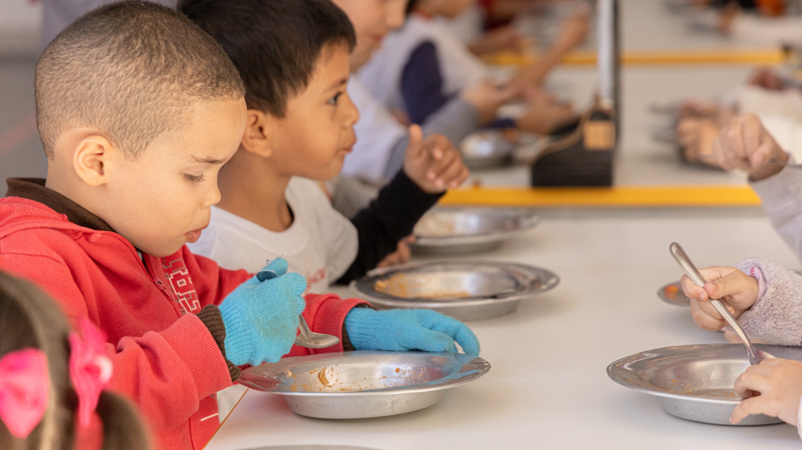 Imagem Noticia: Alimentação Escolar: Referência em nutrição, sabor e valorização dos produtores locais